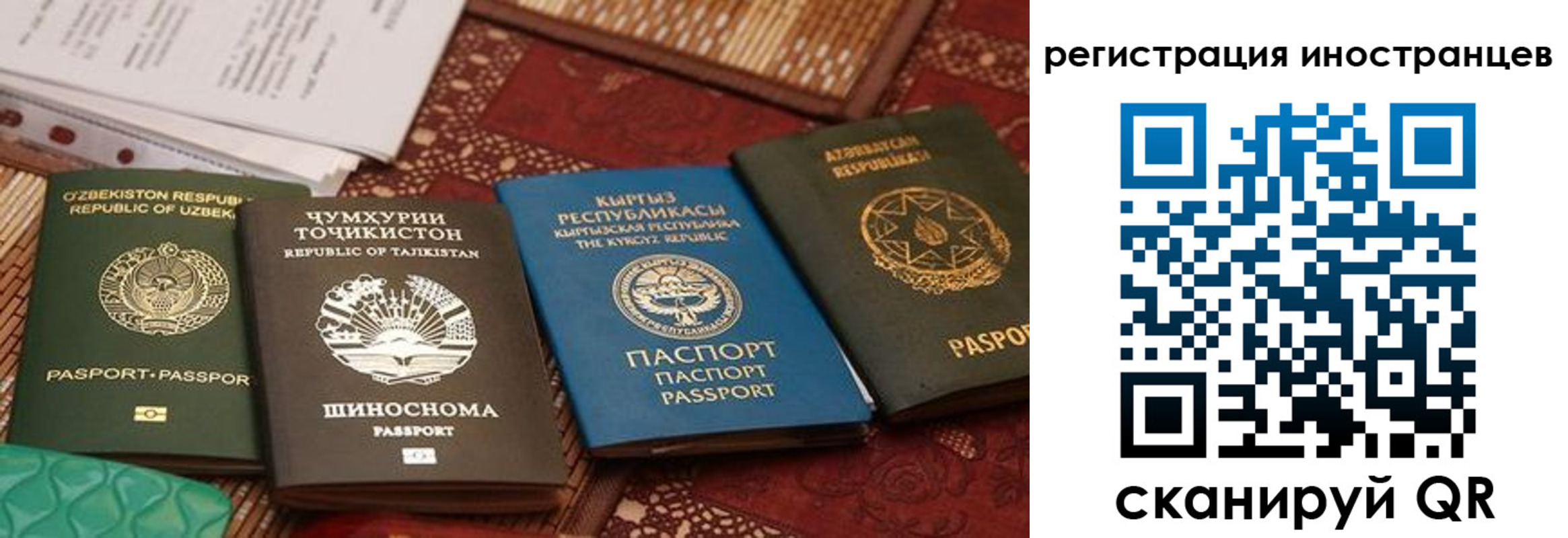 временная регистрация госуслуги в Камчатской области